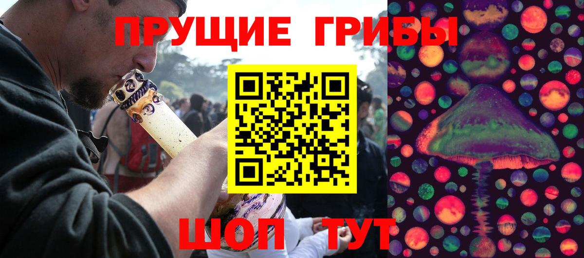 Галлюциногенные грибы Psilocybe  Вход с VPN  Ачхой-Мартан 